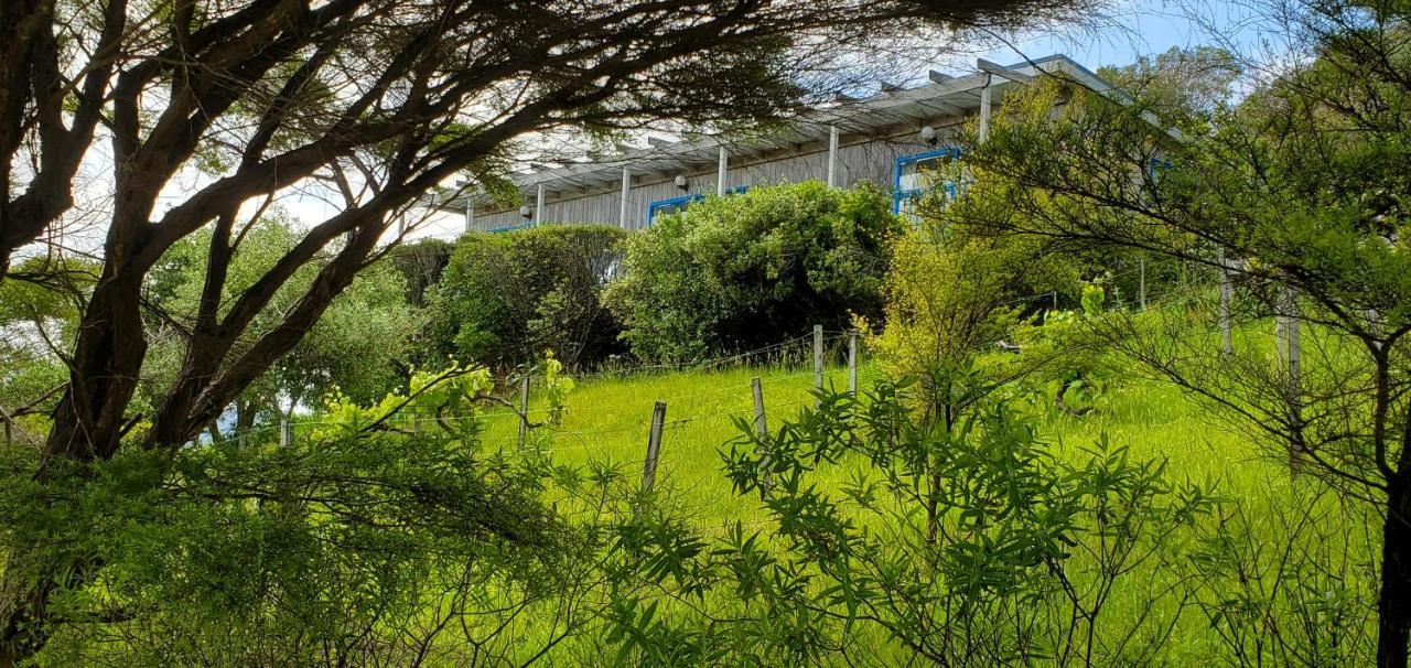 Rawhiti Cottage At Kaeppeli'S Kuaotunu 外观 照片
